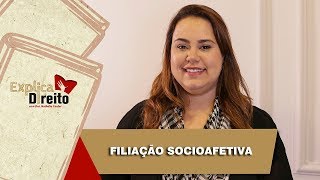 Explica Direito Filiação Socioafetiva  2019 [upl. by Lucien]