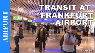 TRANSIT WALK AT FRANKFURT Airport FRA Terminal 1  Connection Flight Transfer Arriving amp Departing [upl. by Asirret]